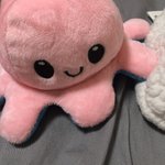 [NCT칠프] 문어인형 이렇게 <b>대량</b>으로 나올줄이야