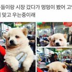 [댓글부탁해] 연애하는애니 <b>추천조뮤</b>ㅠ