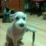 [댓글부탁해] 나도 <b>아르바이트</b> 하다 중국인 만나면