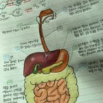 김판녀(1N) 공부보다 필기에 진심인편