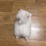 나 한남동 살고 남친 2군 아이<b>돌임</b> 질문ㄱ