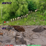 ‘야생돌’, 리얼 야생 환경의 비밀 “황무지 느낌의 옛 채석장 선택”