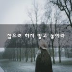 [50대] 잡으려 하지 말고 놓아라~