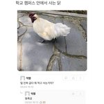 고3들 수능끝나고 로망 뭐냐