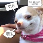 프로아나가 왜 있는지 알 거 같음