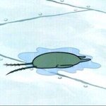 [댓글부탁해] 푸룬 <b>딥</b> <b>워터</b> 공복 아닐때 머거도돼? ㅈㅂ ㅠㅠ