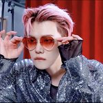 [댓글부탁해] 안경 쓴 돌들 짤털해주라!