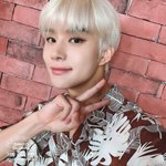 [NCT칠프] 약간 노궁버 <b>재질</b>