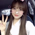 짤하나 <b>아린</b>