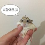 [<b>19</b>] 너네 진짜 첫키스 엄청 좋았어??