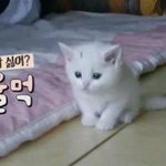 [드루와] <b>변기</b> 막혓어 ㅅㅂ
