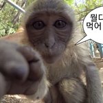 정승제 같은 남자랑 결혼하고싶다 ㅠ