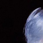 [추반] 이런 염색하면 어딜<b>가나</b> 튀어?
