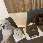 [댓글부탁해] 제니 강아지 케이크들 젠틀<b>몬스터</b>가 보낸거임??