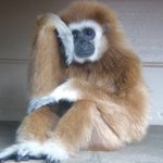 [댓글부탁해] 성씨 중에 안씨 어때?