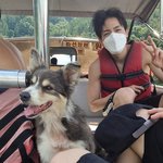 [더보이즈] 혹시 요번 자컨때 찍은건가