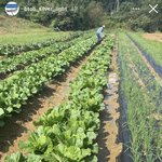 [BTOB] <b>정겨운</b> 서이사님ㅋㅋㅋㅋㅋㅋ