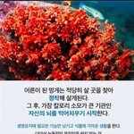 짝남 설렜던거
