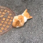 <b>추석용돈</b>으로 살거 올리고가봐