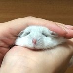 얘들아 일리노이 대학교 좋은곳<b>이양</b>?