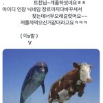 [ㅈㄱㄴ] 나 갑자기 초딩때 ㅂㅅ짓한거 생각남