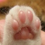 [댓글부탁해] 남사친이 내가 지 좋아하는줄 알고 <b>철벽</b> 오짐