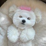 엄마가 자꾸 성형 권장하는데
