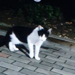 [NCT칠프] 스밍하면서 <b>공원</b>에서 <b>산책</b>하는데