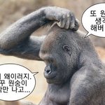 얘들아 이런 짤 좀 <b>주셈</b>