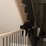 [드루와] <b>ENTJ</b> 질문ㄱㄱ