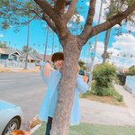 [스키즈] 승<b>멍멍이</b> 생일축하해