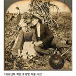 [19] 이사진 ㅈ1ㄴ<b>로맨틱</b>하네