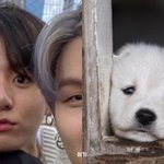 [방탄소년단] 이 애기강쥐ㅜㅜㅜ