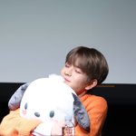 [스키즈] 뜽모 사진 <b>투척</b>