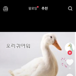 [댓글부탁해] ㅇㅏ 틱톡 진짜 개웃<b>기네</b>