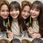 [모두드루와] 꼬북이들 만남