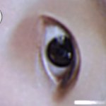 [댓글부탁해] 나만큼 다크<b>서클</b> 심한사람 본적없음