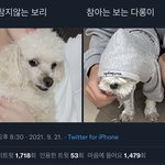 [더보이즈] 아 이거 너무 귀엽다ㅋㅋㅋㅋㅋㅋㅋㅋ