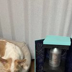 로제에게 앞다퉈 보낸 <b>추석선물</b>..티파니앤코,생로랑,오이오이