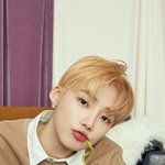 뉴 왤케이쁨
