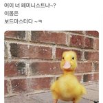 문과<b>과목</b>듣고 공대가는 거 왜 안 돼??