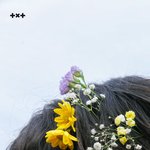 [TXT] ....<b>요정</b>