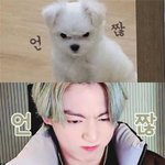 전정국 손민수<b>템</b> <b>추천</b>해주라