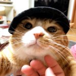 [스키즈] 순둥<b>도리</b> 너무 귀여워