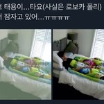 [이태용] 얘 되게