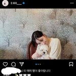[댓글부탁해] (더보이즈 팬)<b>더비</b>들 수준