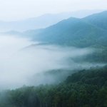 와 방탄 인더숲 스케일 미쳤다