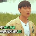 강인한 외모와 <b>달리</b> 약골 체력인 야생돌