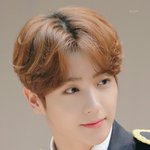 [더보이즈] ㅅㄷ)어제 <b>벅스</b> 아이디 18개 만들었다