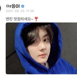 [엔하이픈] 고앵이 <b>맛</b><b>점</b> <b>인사</b> 왔다